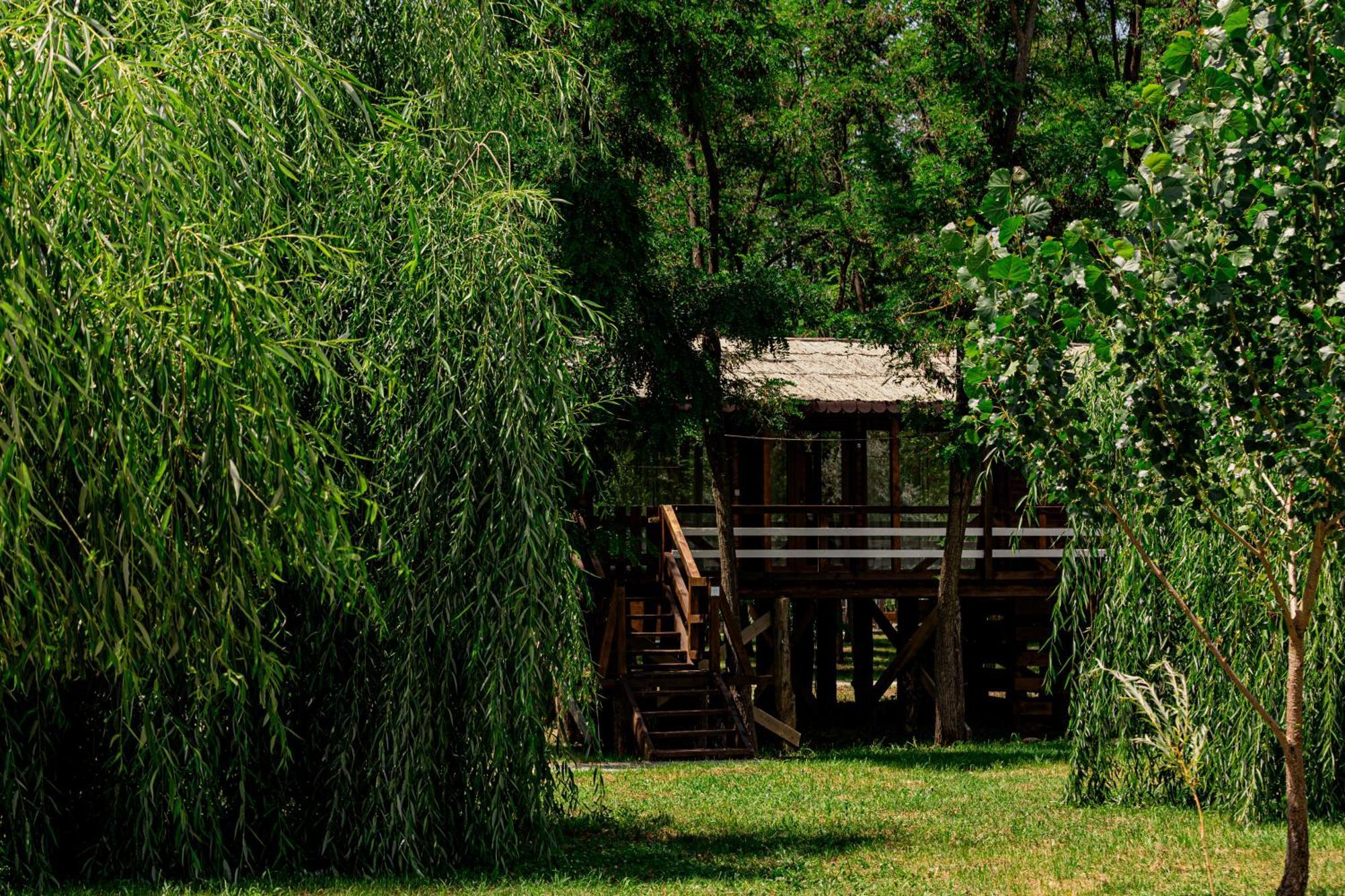 Zaga Zaga Sat Tecuci Exterior foto